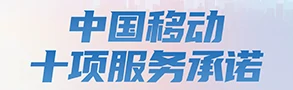 十项服务承诺